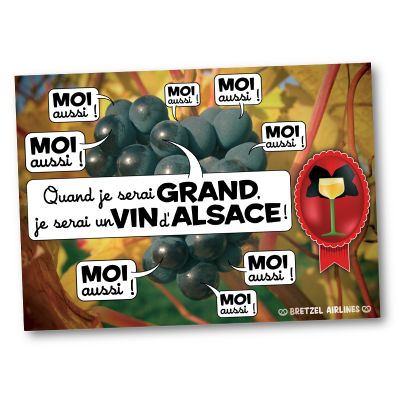 Carte postale - RAISIN VIN ALSACE