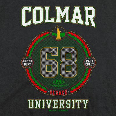 T-shirt - University Colmar - gris anthracite